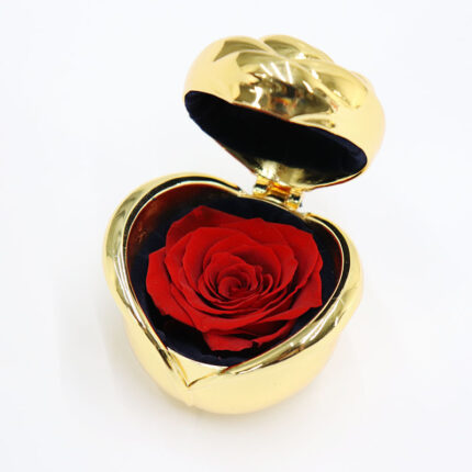 Boîte à bijoux en fer rose